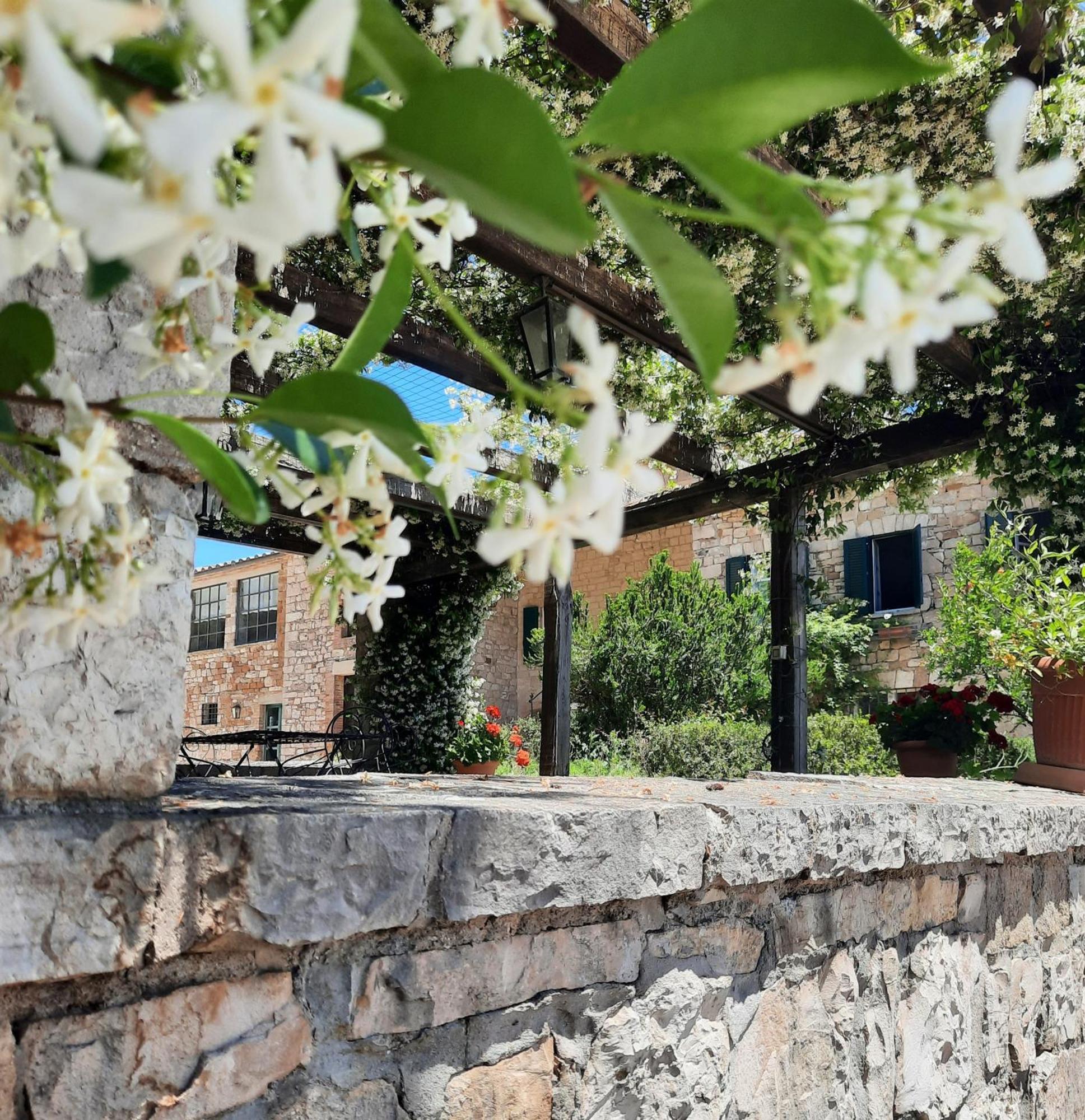 Agriturismo Tenuta Conti Faina Fratta Todina Exterior foto